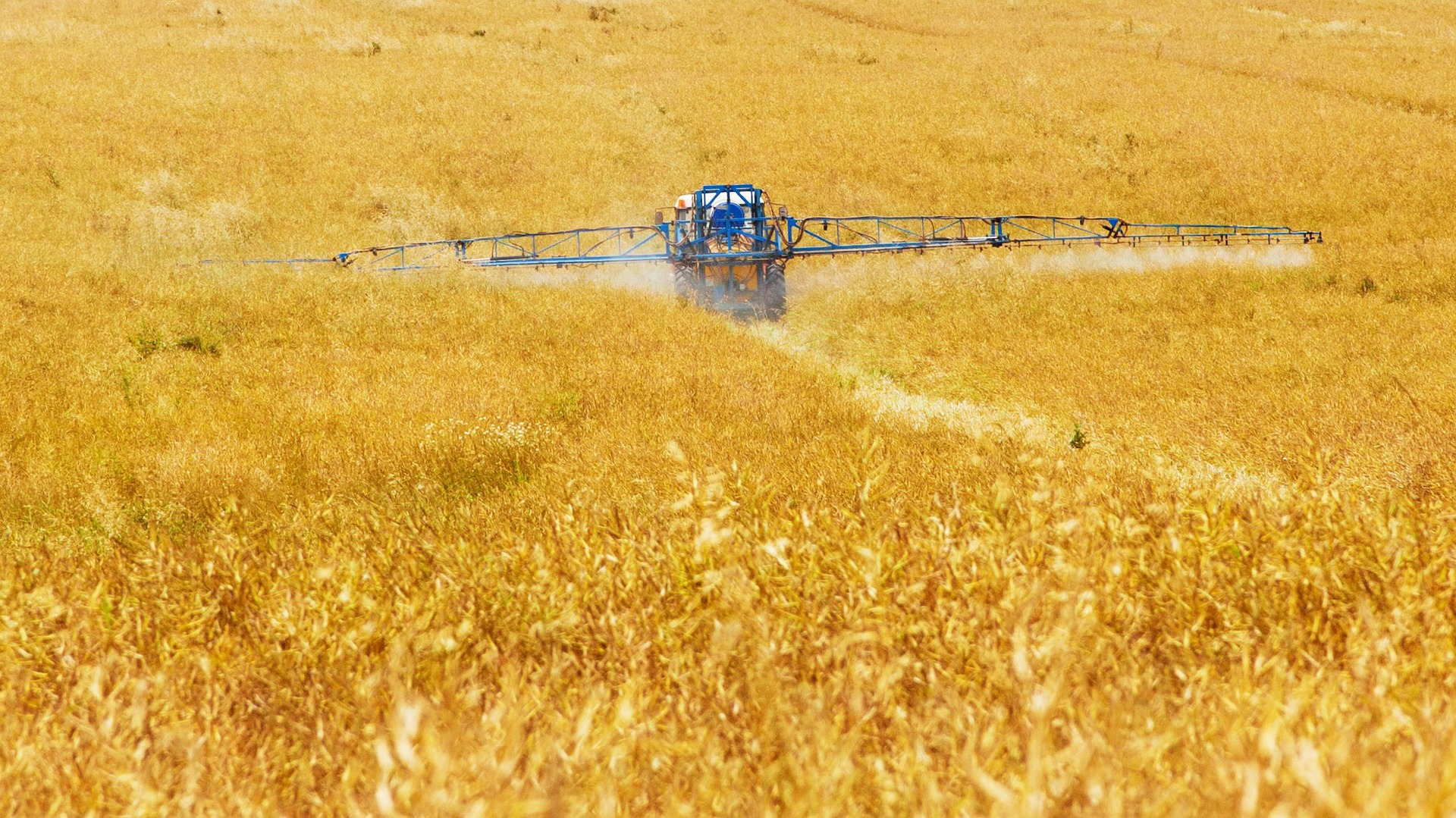 Україна у 2018 році зменшила імпорт пестицидів